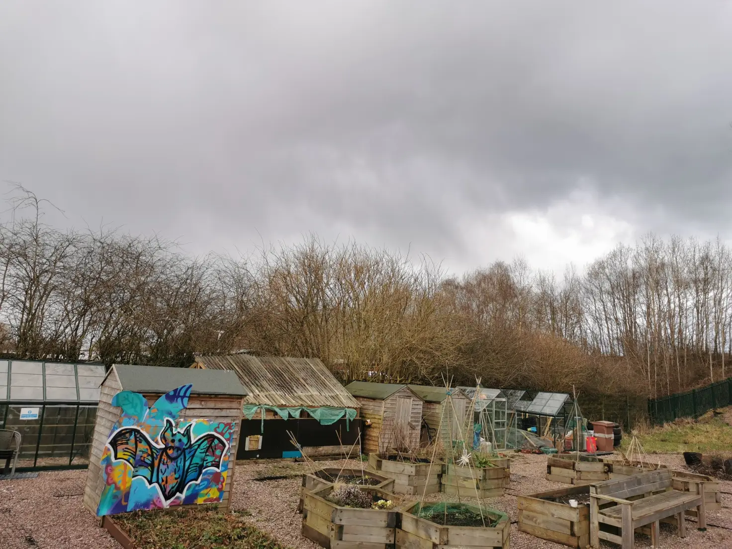 A community garden with several wooden raised planting beds on a gravel surface, with cane structures and small plants visible. A row of wooden sheds and a greenhouse sit in the background surrounded by trees.