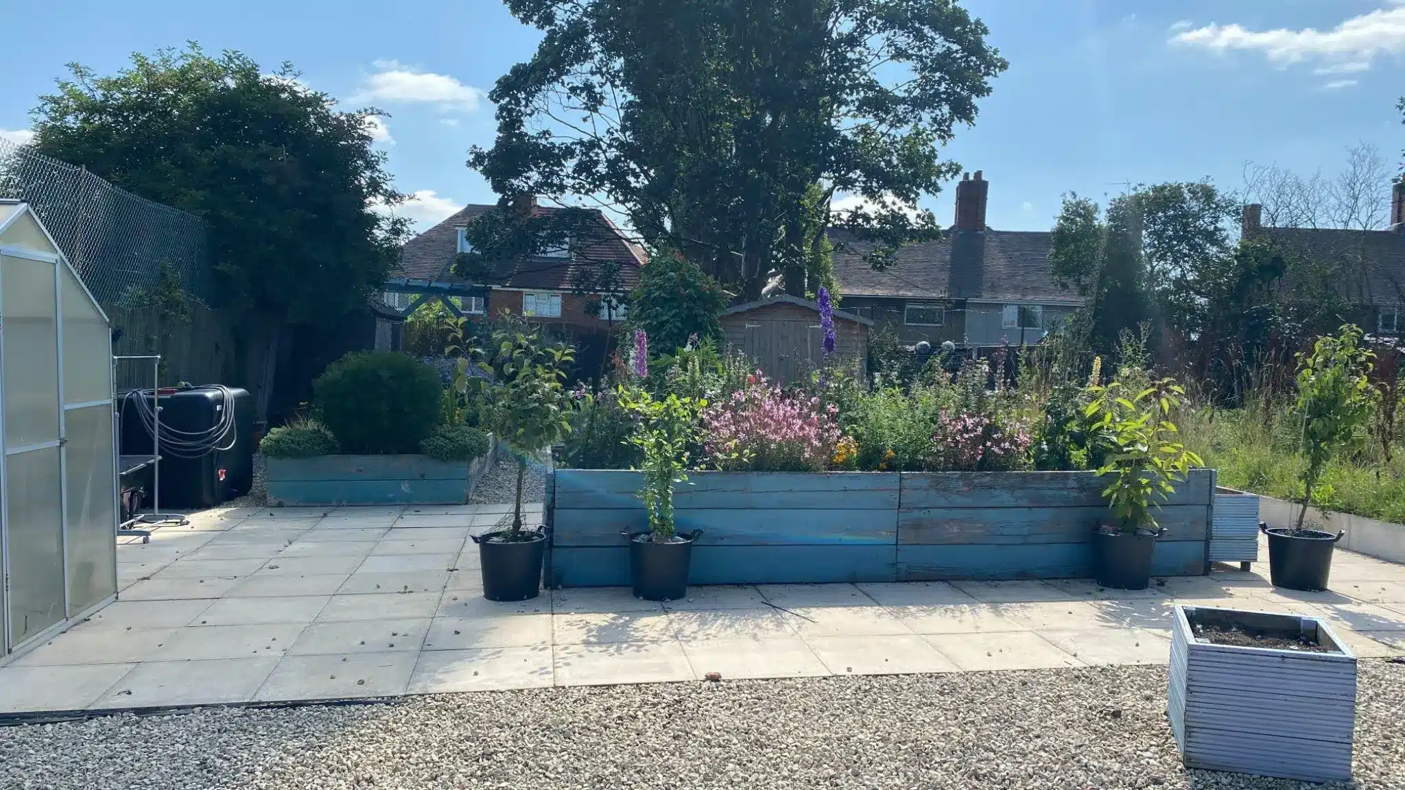 A community garden in Scotlands and Bushbury Hill, featuring raised planters bursting with flowers and young trees on a bright summer day.